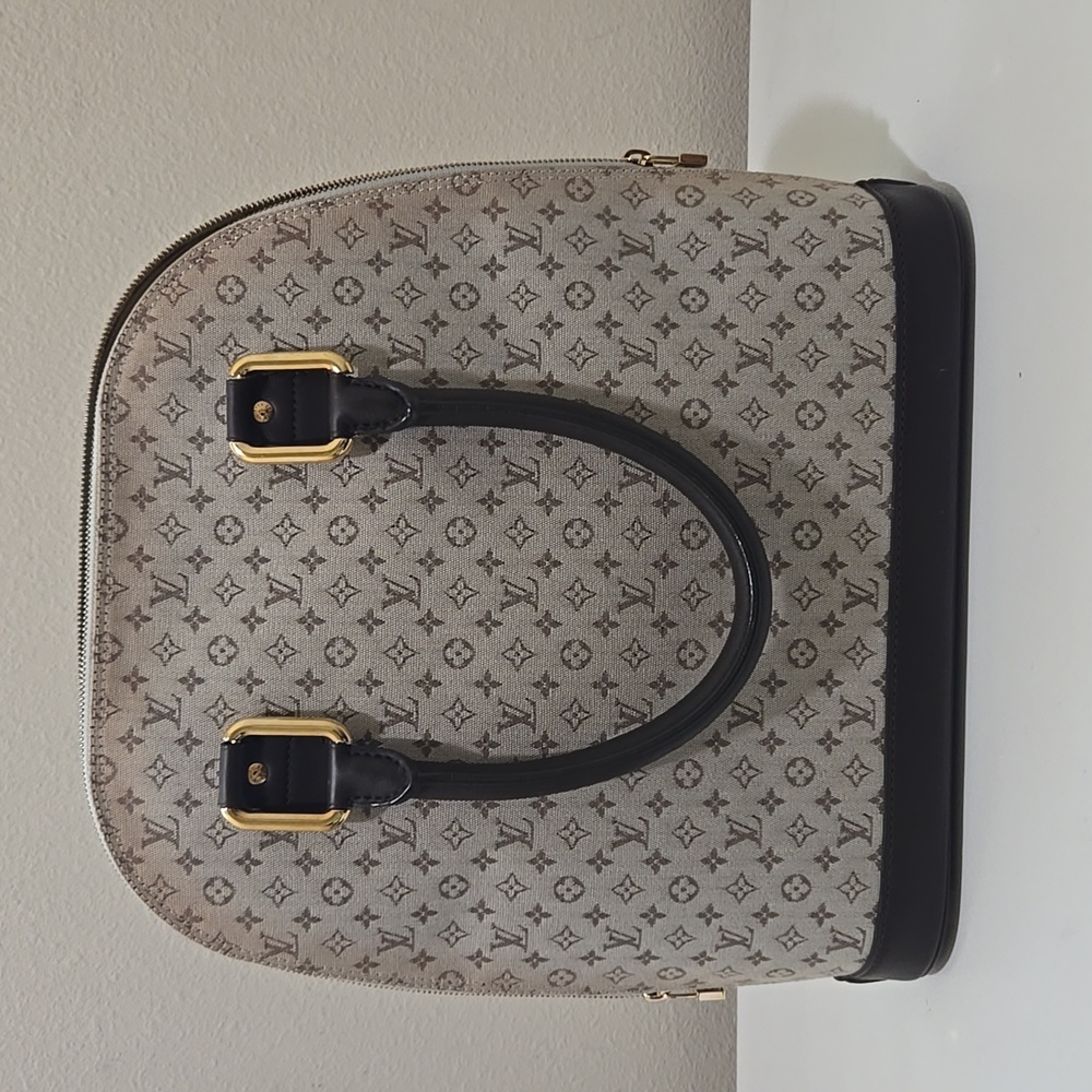 Louis Vuitton bag